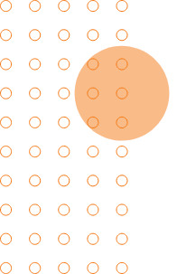 Choosewise Career Consulting